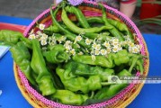 吃瓜爆料广西视频,视频揭秘当地热点事件